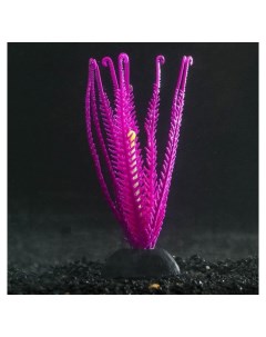 Растение силиконовое аквариумное светящееся в темноте фиолетовое 9 х 14 см Nnb