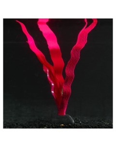 Растение силиконовое аквариумное светящееся в темноте 14 х 24 см красное Nnb