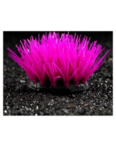 Растение силиконовое аквариумное светящееся в темноте фиолетовое 16 х 11 см Nnb