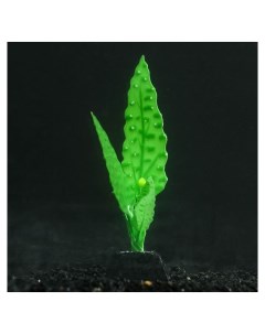 Растение силиконовое аквариумное светящееся в темноте 5 х 14 см зелёное Nnb