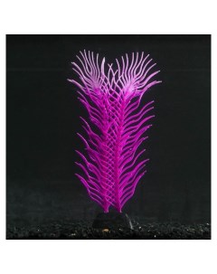 Растение силиконовое аквариумное светящееся в темноте 6 5 х 18 см фиолетовое Nnb