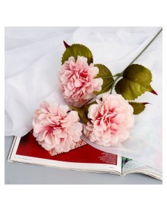 Цветы искусственные Гибрид пиона D 10 см 66 см розовый Nnb