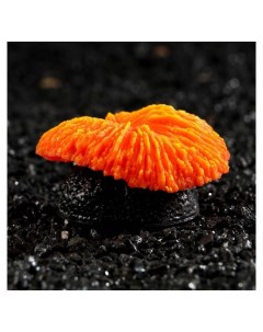 Декор для аквариума коралл пильчатый гриб силиконовый 5 х 2 5 см оранжевый Nnb