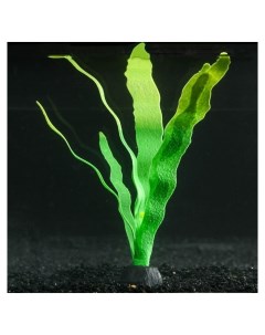 Растение силиконовое аквариумное светящееся в темноте 14 х 24 см зелёное Nnb