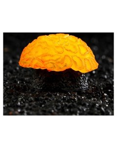Декор для аквариума коралл Faviidae силиконовый оранжевый 5 х 2 5 см Nnb