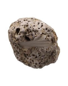 Kunashir Натуральный камень Кунашир для аквариумов и террариумов Udeco