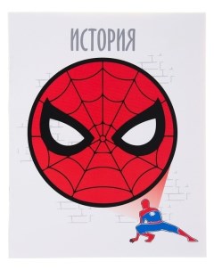 Тетрадь предметная 48 листов клетка История человек паук Marvel comics