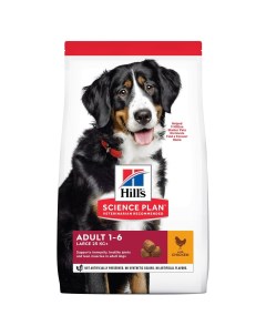 Корм сухой корм для взрослых собак крупных пород для поддержания здоровья суставов и мышечной массы  Hill's science plan