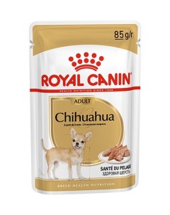 Влажный корм паштет Роял Канин для собак породы Чихуахуа цена за упаковку Royal canin
