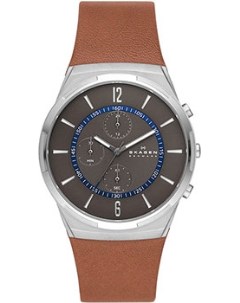 Швейцарские наручные мужские часы Skagen
