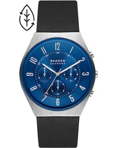 Швейцарские наручные мужские часы Skagen