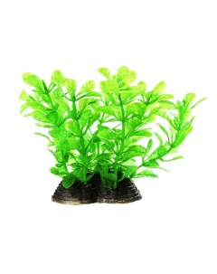 Растение зеленоватое 6 5 10см Aquafantasy