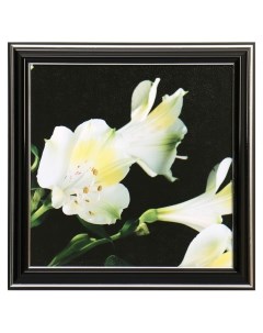 Картина Белые цветы 21х21 см Nnb