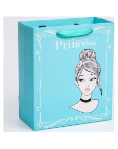 Пакет ламинат вертикальный для девочки Princess 23х27х11 5 см Цвет голубой Disney