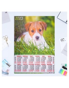 Календарь товой А2 Собаки 2023 3 Лис