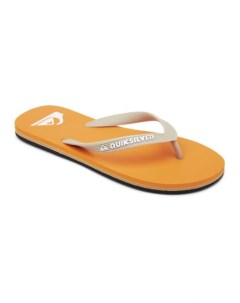 Мужские сланцы Molokai Quiksilver