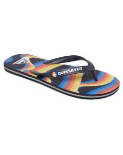 Мужские сланцы Molokai Art Quiksilver