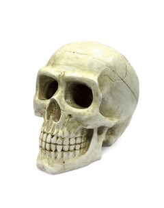 Large Skull Декоративная композиция для аквариума Большой череп 50 гр Artuniq