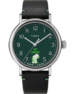 Мужские часы в коллекции Standard Timex