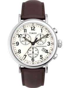 Мужские часы в коллекции Standard Timex