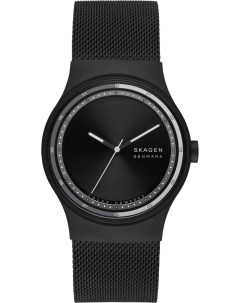 Мужские часы в коллекции Sol Skagen