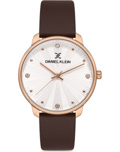 Женские часы в коллекции Premium Daniel Daniel klein