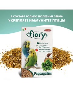 Корм для волнистых попугаев Pappagallini 1кг Fiory