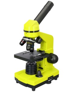 Микроскоп Rainbow 2L Lime Лайм 69038 Levenhuk