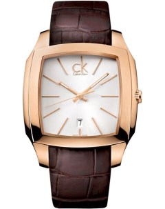 Швейцарские мужские часы в коллекции Calvin Klein Специальное Специальное предложение