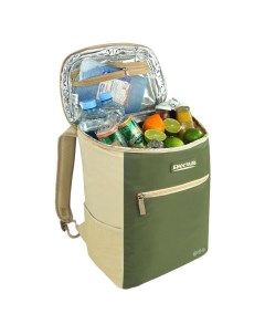 Рюкзак холодильник TR 20G Biostal