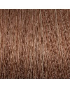6 1 крем краска безаммиачная для волос средний блондин пепельный Soft Touch Ash Medium Blond 100 мл Concept