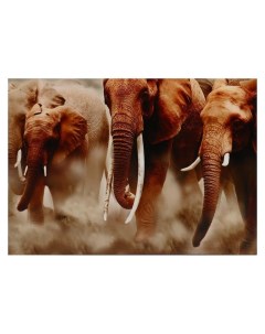 Картина холст на подрамнике Слоны 50х70 см Topposters