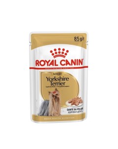 Yorkshire Terrier Adult влажный корм паучи в форме паштета с мясом для собак породы йоркширский терь Royal canin