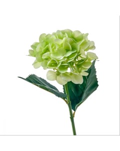 Цветок искусственный 0137 Гортензия микс силиконовая зелёный Myblumm