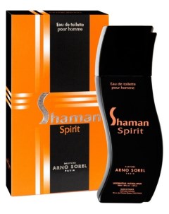 Туалетная вода мужская Shaman Spirit Объем 100 мл Parfums corania