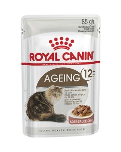 Влажный корм Консервы Паучи Роял Канин Эйжинг для Пожилых кошек старше 12 лет в Соусе цена за упаков Royal canin