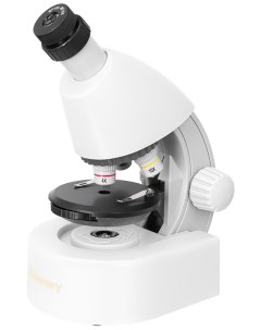 Микроскоп Micro Polar с книгой 77952 Discovery