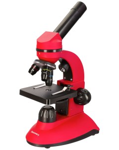 Микроскоп Nano Terra с книгой 77962 Discovery
