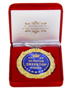 Медаль Золотой директор в подарочной коробке Nnb