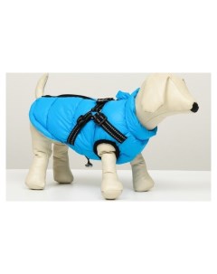 Куртка для собак со шлейкой размер 12 ДС 28 см ОГ 38 см ОШ 27 см лазурная Nnb