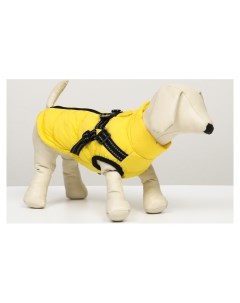 Куртка для собак со шлейкой размер 20 ДС 43 см ОГ 56 см ОШ 41 см лимонная Nnb