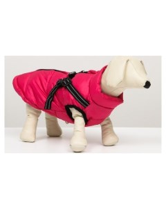 Куртка для собак со шлейкой размер 12 ДС 28 см ОГ 38 см ОШ 27 см розовая Nnb