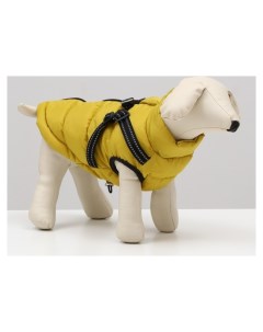 Куртка для собаксо шлейкой размер 14 ДС 32 см ОГ 42 см ОШ 31 см лимонная Nnb