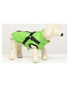 Куртка для собак со шлейкой размер 22 ДС 41 см ОГ 60 см ОШ 43 см салатовая Nnb