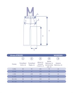 Мужские горнолыжные Штаны Темно синий 8783295 60 5xl Whs