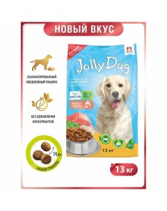 Jolly Dog полнорационный сухой корм для собак с лососем и рисом 13 кг Зоогурман