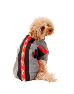 Куртка на молнии для собак мелких пород Карликовый пинчер Джек Рассел Бигль L 33x48x31 см серый унис Rungo