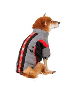 Куртка для собак крупных пород Карликовый пинчер Джек Рассел Бигль серая на молнии 46x66x43 см Rungo