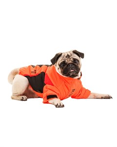 Куртка на молнии для собак M оранжевый унисекс Rungo