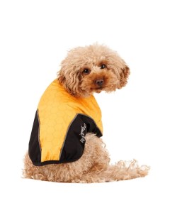 Куртка на молнии для собак M желтый унисекс Rungo